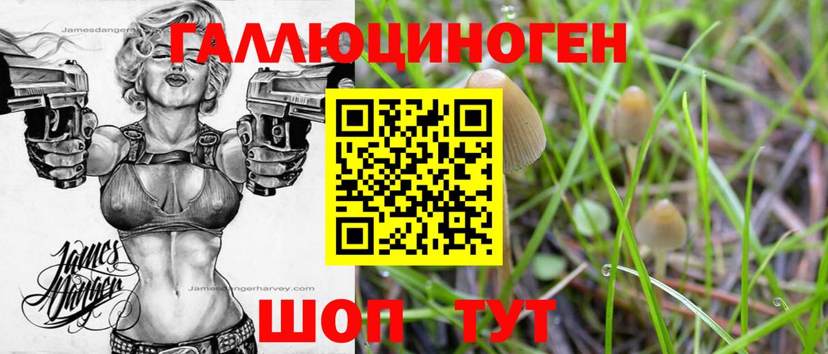 хочу наркоту  Псилоцибиновые грибы GOLDEN TEACHER  Псилоцибиновые грибы мицелий  Вход с VPN  Мариинск 