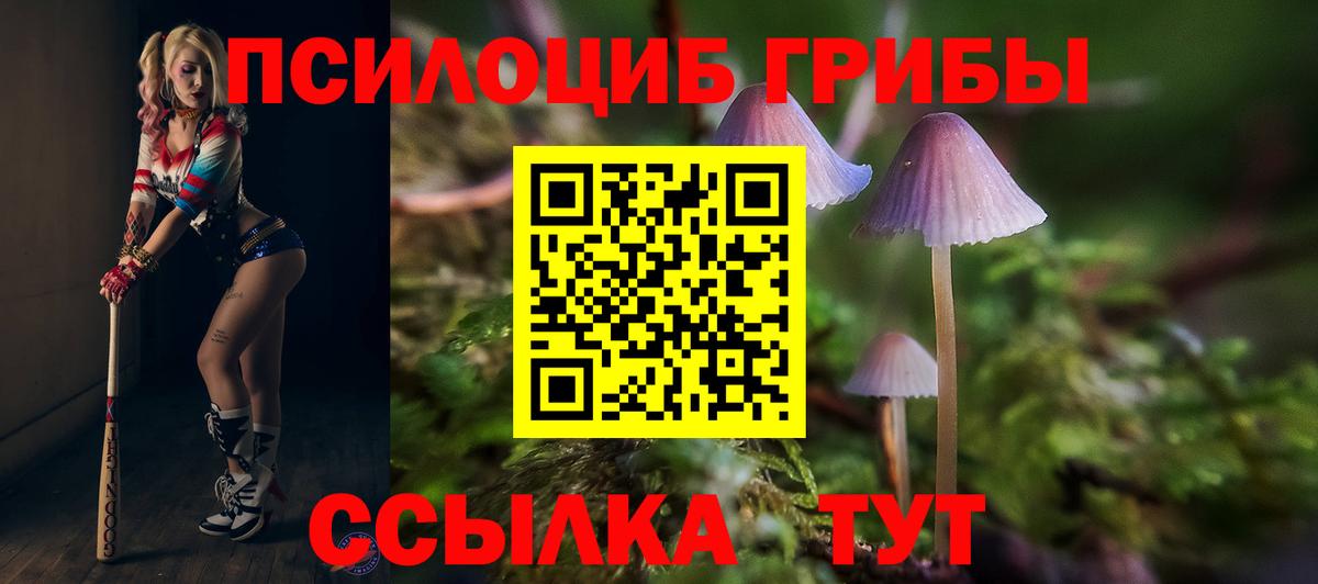 Псилоцибиновые грибы GOLDEN TEACHER Мариинск